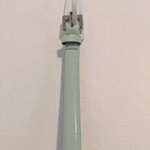 Mint thin belt